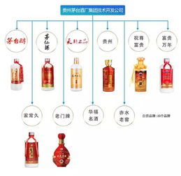 茅臺酒品鑒與營銷策略 技術開發賦能品牌新生態